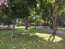 Livingston Mansions (D15), Apartment #170744212